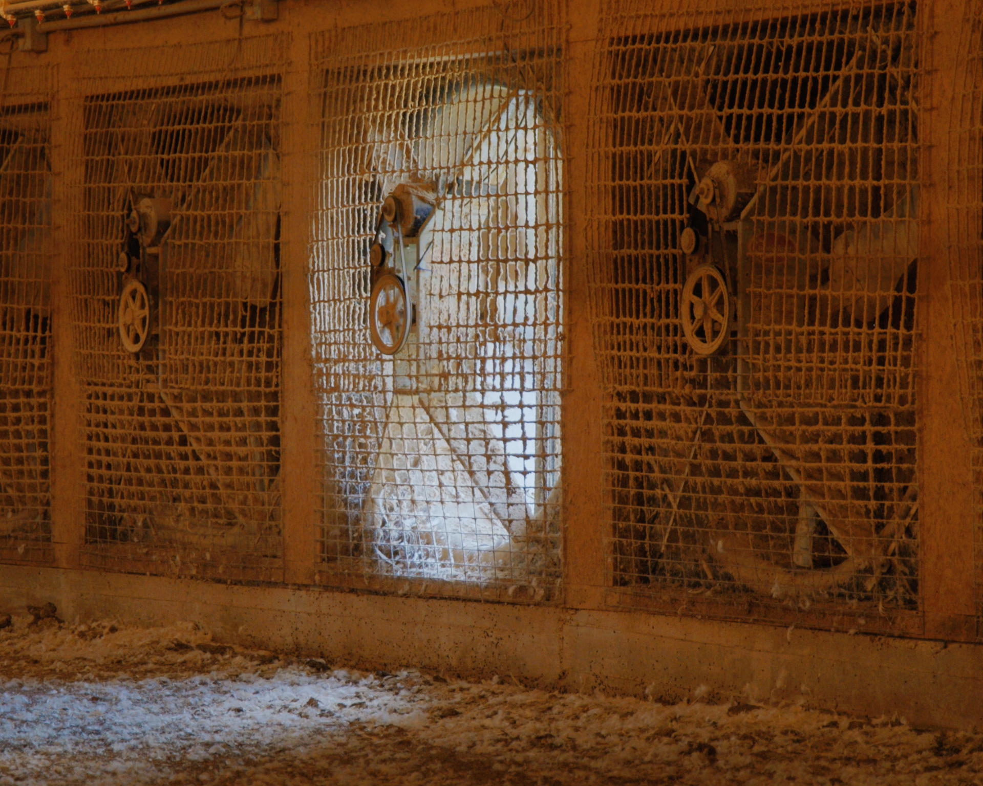 The Two-for-One “Water Pump” to Help Litter Quality