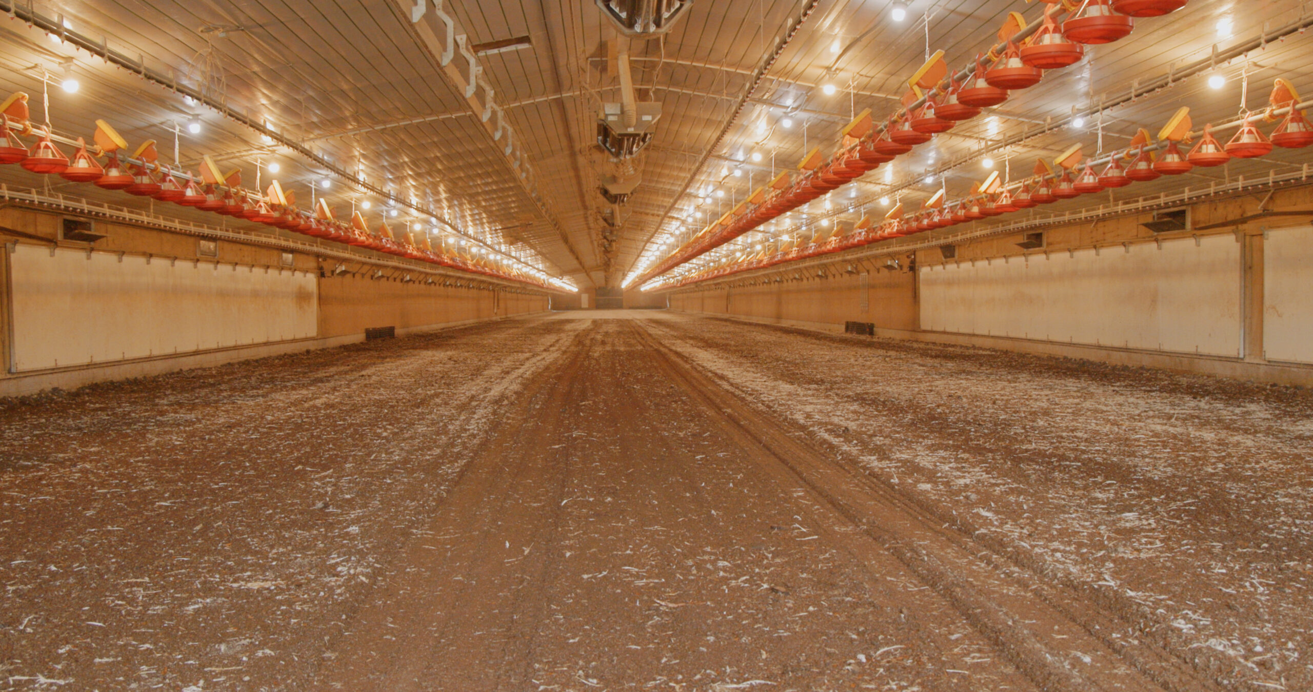 Poultry Litter: The Goldilocks Principle and Three “Bewares” to Consider